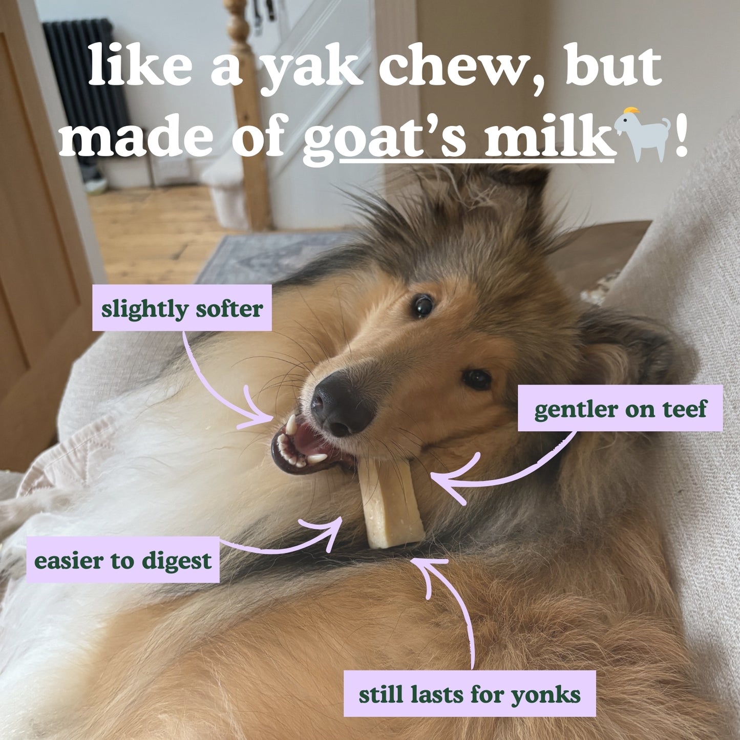 Settle Sticks